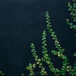 5+1 piccoli gesti per aiutare l’ambiente